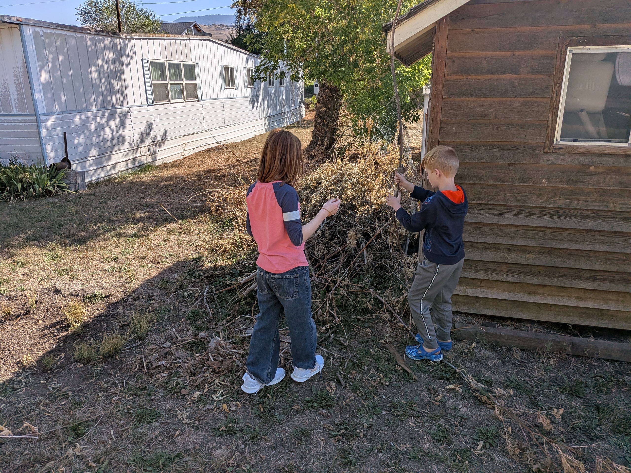 Adult and youth volunteers clearing brush near a roadside